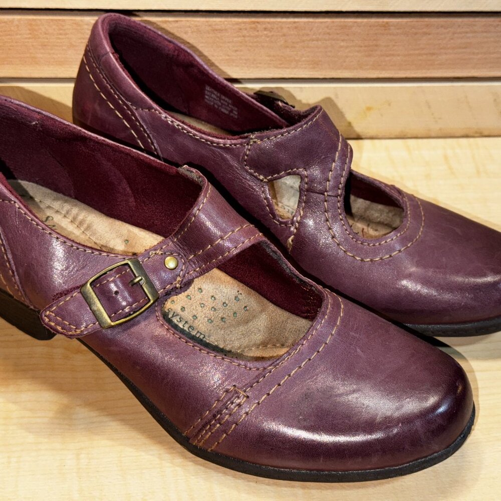 Earth Origins Meredith Leather Mary Jane Size 8 Burgundy